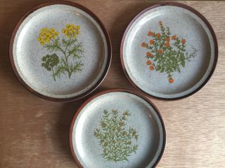 Vintage Set Of 3 Speckled Salad Dessert Plates With Wildflowers,  Takahashi