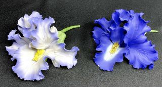 2 Capodimonte Porcelain Iris Flowers Garden Sculpture Italian Hand Crafted