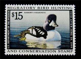 Rw65 1998 Federal Duck Stamp Vf Ognh Ebay Low - Offer?