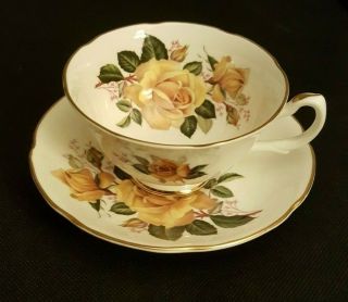 Royal Grafton Fine Bone China Tea Cup & Saucer Flowers