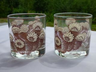 Noritake Desert Flowers Set Of 2 Glasses Lowball Old Fashioned 10 Oz