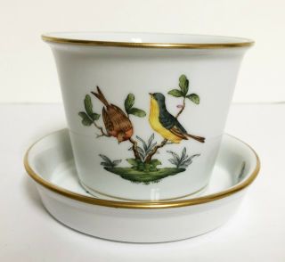 Herend Rothschild Bird (ro) Porcelain Flower Pot & Underplate Hungary