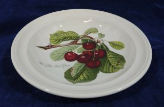 Pomona By Portmeirion Fruit Flowers The Late Duke Cherry Soup Pasta Coupe Bowl