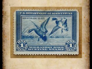 Us Federal Duck Stamp Scott Rw1 $1 1934 Migratory Bird Hunting