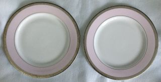 Set Of Two 2 Mary Kay China Pink Platinum Band 10 3/4 " Dinner Plate 40 Years