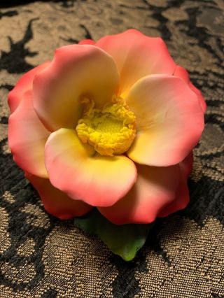 Capodimonte Fabar Pink And Yellow Tea Rose Flower Made In Italy