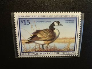 U.  S.  Department Of The Interior 1997 Federal Duck Stamp Rw64 Canada Goose - Mnh