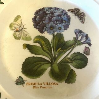 PORTMEIRION Botanic Garden Blue Primrose Side Plate Primula Villosa England 3