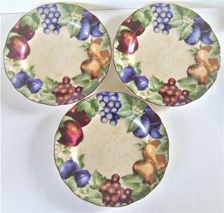 3 " Napa Valley " Dinner Plates 11 " By Noble Excellence Porcelain