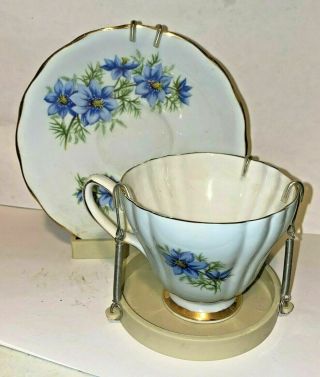 Colclough Bone China Made In England Cup & Saucer With Display Fc3