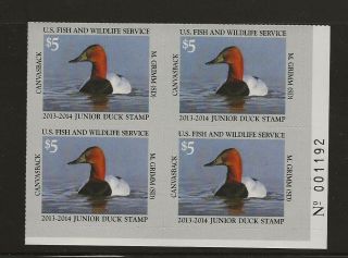 2013 Junior Duck Stamp Plate Block,  Scott Jds21,  Nh
