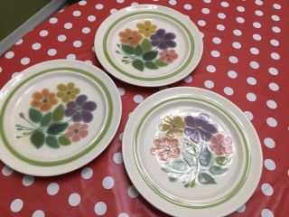 Franciscan Earthenware Floral Dinner Plates Set Of 3
