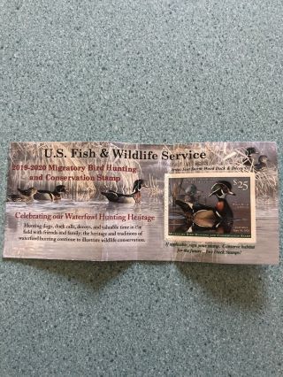 2019 - 20 Migratory Bird Hunting And Conservation Stamp U.  S.  Federal Duck Stamp