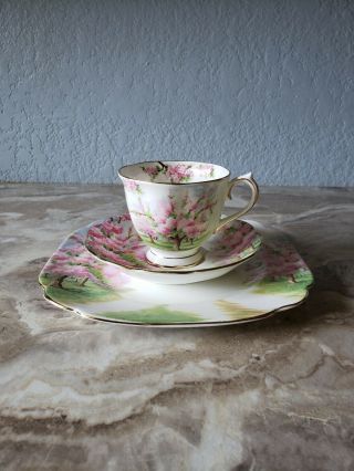 Royal Albert Bone China " Blossom Time " Tea Cup With Saucer And Dessert Plate