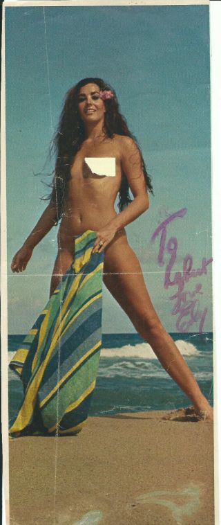 Edy Williams Sexy Busty & Vintage Hand Signed Autographed Photo
