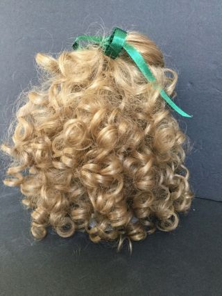 Brown Long Length Wig,  Large full Curley Doll Wig - sz 10 (W11) 3