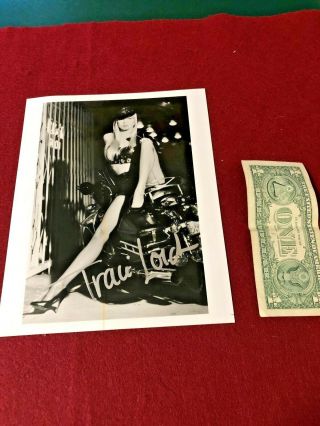 Traci Lords Adult Porn Star Autograph Of The Girl Who Turned The Porn Industry