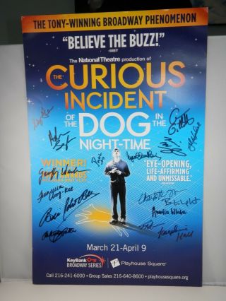 Curious Incident Of The Dog In The Night - Time Poster - Cast Signed Window Card