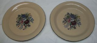4 Home & Garden Party " Floral Splendor " Stoneware 10 1/4 " Dinner Plates - 2002