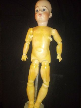 1980 Bru Jne Vernon Seeley Doll Porcelain Head,  Ball Jointed Seeley Body 18 "