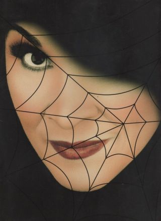 Chita Rivera & Brent Carver " Kiss Of The Spider Woman " Souvenir Program