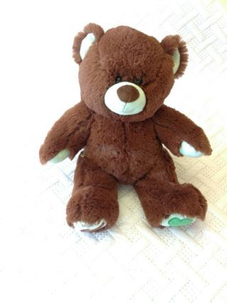 Build A Bear Girl Scouts Thin Cookies Chocolate Brown Green Teddy Bear