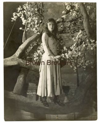 1920s Unknown Actress Broadway Oversized Dbw Photo 1 By Ira Schwarz