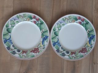 Villeroy And Boch Catalina Salad Plates 8.  5 " Set Of 2 (hwy1)