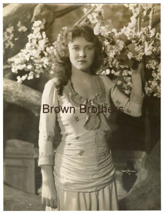 1910s Unknown Actress Broadway Oversized Dbw Photos 4 By Ira Schwarz (2 Photos)
