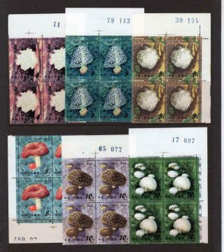 China,  Pr 1981 Mushrooms,  Plate Blks Of 4 - Og Mnh - Sc 1703 - 08 Cats $52.  00,