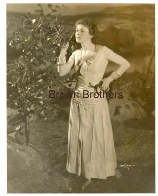 1920s Ruth Chatteton Actress Broadway Oversized Dbw Photo 4 By Ira Schwarz