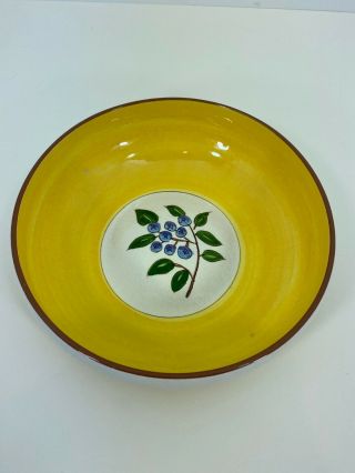 Vintage Stangl Pottery Blueberry 8 