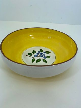 Vintage Stangl Pottery Blueberry 8 