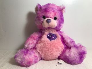 Care Bears Pink Hopeful Heart 10” Sitting Teddy Bear Stuffed Animal Plush 2016
