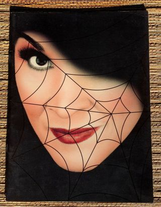 1993 Kiss Of The Spider Woman Theater Souvenir Program
