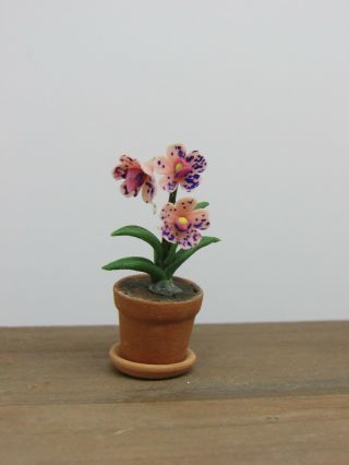 Dollhouse Miniatures,  Purple Orchids in Clay Pot w Saucer,  1/12th Scale 2