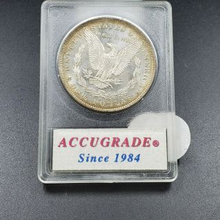 1884 O Morgan Silver Dollar Coin Choice BU Grade Accugrade Textile like Toning 3