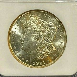 1921 S Morgan Silver Dollar Ngc Ms64 Golden Tone (072)
