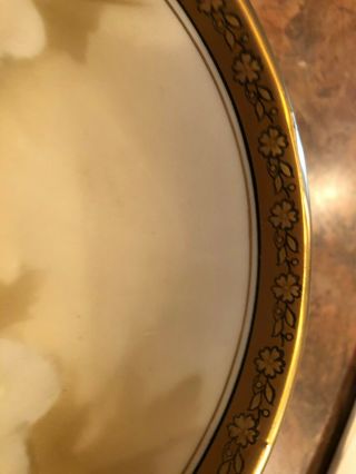 Royal Vienna M W Co,  Handpainted bowl,  RIS Germany 3