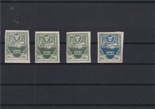 Poland Gorny Slask Korfany Local Stamps Ref 30432