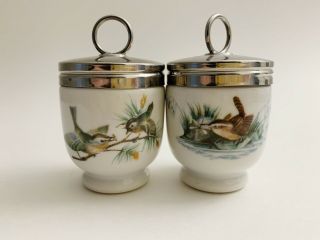 2 Vintage Royal Worcester Porcelain Egg Coddler Birds Wren & Finch