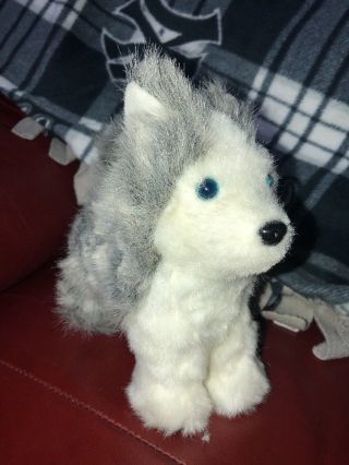 American Girl Siberian Husky Dog Blue Eyes " Pepper " 6 " Plush Toy Stuffed