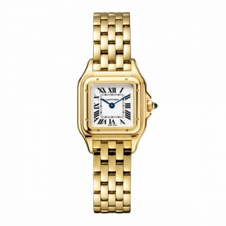 2020 Cartier Panthere 18k Yellow Gold Quartz 22 X 30 Mm Watch Wgpn0008 Complete