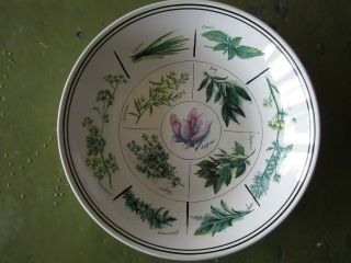 Vintage Williams Sonoma 13 " Pasta Serving Bowl With Herbs