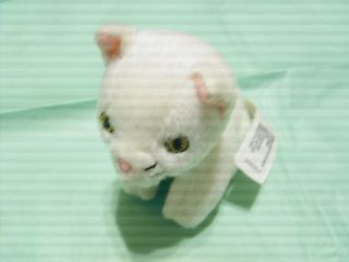 American Girl Doll White Cat