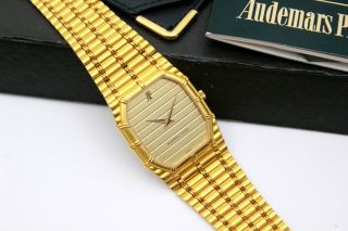 Audemars Piguet Bamboo - 18k Solid Gold (men Size) 80 