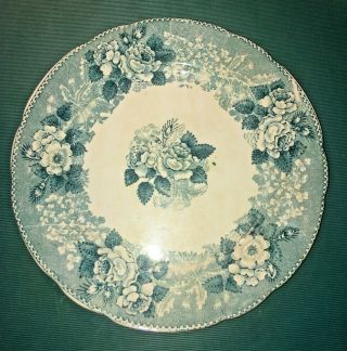 Antique Wm Adams & Co.  Tunstall England - Wild Rose Pattern Plate - 8.  5 " - Turquoise