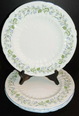 Lovely Set Of Four Shelley Harbell Blue Rim Dinner Plates,  10 3/4 " Diameter