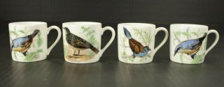 (set Of 4) Cordon Bleu Bia Bird Mugs Coffee Tea Cups Hand - Painted