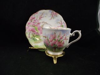 Royal Albert Blossom Time Tea Cup And Saucer Set